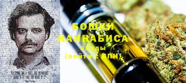 молекула духа Зеленодольск
