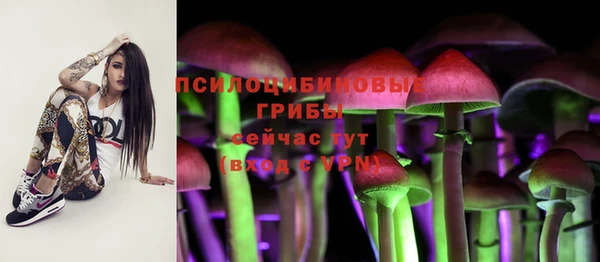 гашик Зерноград