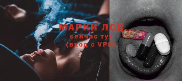 гашик Зерноград