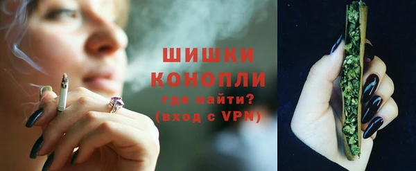 молекула духа Зеленодольск