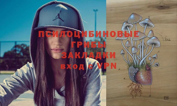 молекула духа Зеленодольск