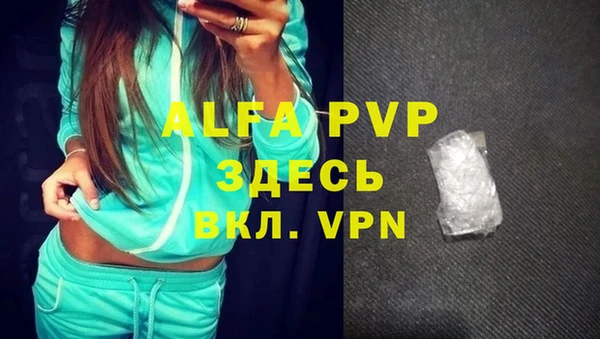 гашик Зерноград