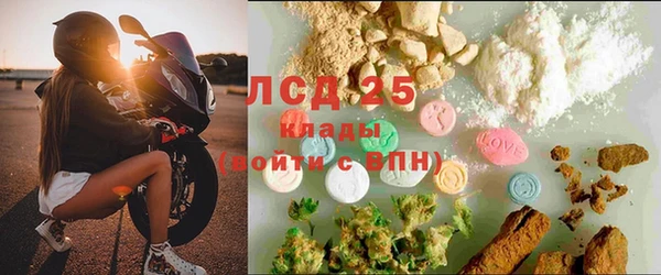 гашик Зерноград