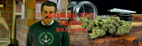 гашик Зерноград