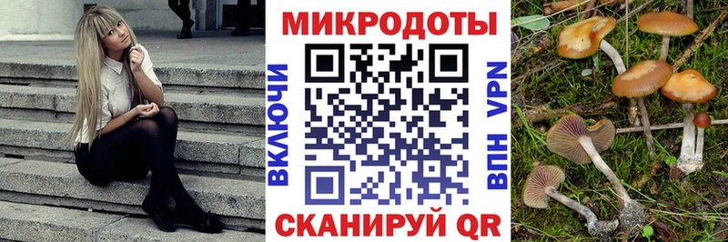 Купить  Ишим  Псилоцибиновые грибы Psilocybine cubensis 